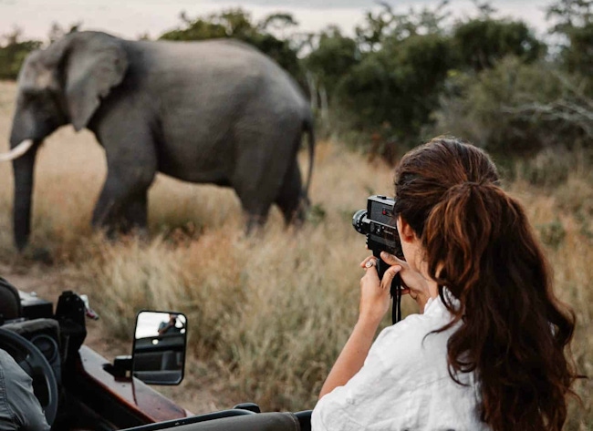 Lady taking a photo of an elephant on a game drive.