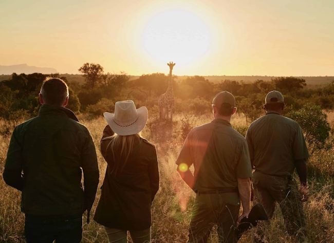 Safari guides watching sunset.